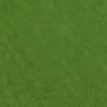 verde-per-esterno